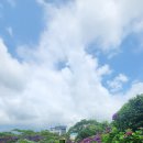 동광리-7 이미지