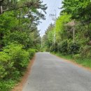 천대국치길 이미지