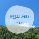 돈푸울산 | 24년 8월 두번째 : 바쁘다 바빠 현대사회