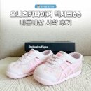 오니츠카타이거 멕시코66 키즈 핑크 내돈내산 시착 후기