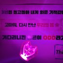 아이앤비유 | [태연/TaeYeon] 태연 콘서트 막콘 후기! TAEYEON CONCERT - The ODD Of LOVE @ KSPO DOME 23.06.04(일)