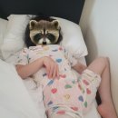 코코아도그 | [여행로그] 25년 7월 기타큐슈 가족여행 3,4일차 후기