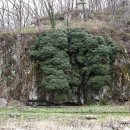 선운산 관광안내소 이미지