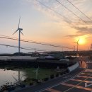 세화오일시장 이미지