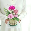 F6814 쇼핑하우