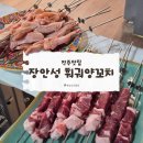 하대동263 | [진주 하대동 맛집] 장안성 훠궈 양꼬치: 숨은 골목 핫플에서 겪은 짜릿한(?) 먹부림 후기