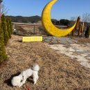 상신리 주차장 화장실 이미지