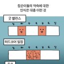 프레쉬엔지니어드