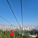 화원하나로카클리닉 | 샤먼(하문) 4일차 / 도심 속 자연여행 [중구 케이블카, 원림 식물원]