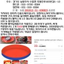 키친아트 원터치(다용도매트)김장매트,건조매트,놀이매트 1개5500원 이미지