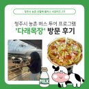 청주 농촌 버스투어 ‘다래목장’ 프로그램 참여 후기