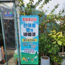 [경기/안산] 안산 화정동 카페 팜플로리아 방문후기