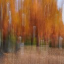 호수공원 사진 1 (Blurring/장노출) 이미지