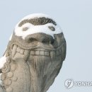 해태현수막