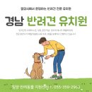 선샤인 반려견 유치원 이미지