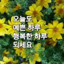 청곡 드립니다 이미지