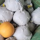 후선 농장 이미지