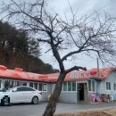 온천로(도산면) 이미지