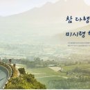 힐링올레 이미지