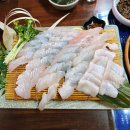 아산밸리중앙로 | 아산숙성회맛집 아산둔포 해루집 솔직후기