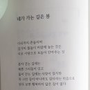 손민준 Daum카페