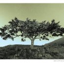 유배문학관 이미지