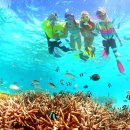 가까운태평양약국 | 🐠 괌 피쉬아이 스노클링 투어 직접 다녀왔어요 | 돌핀크루즈부터 점심까지 완벽 후기