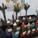 헬로우마켓 이미지