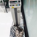 달개 이미지