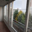 동산비사벌 이미지