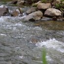 차평낚시터 이미지