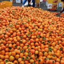 진수농장 이미지