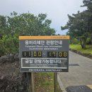 제주 사계리 용머리 화산쇄설층 | 용머리해안 송악산둘레길 제주사계리용머리화산쇄설층 산방산유채꽃 할망밥상모듬생선구이백반