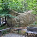 관악산 무장애숲길 이미지