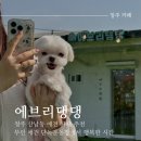에브리댕댕 이미지