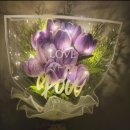 모루 꽃다발 이미지