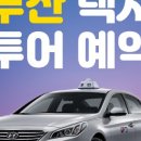 부산그린여행사
