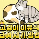 298. 아기고양이 이유식 급여시기,방법! 이미지