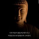 [💗로펌채용 모음] #6대로펌 #10대로펌/ 📓지원을 고려해 보아요! 5월 채용공고 모음🗂️
