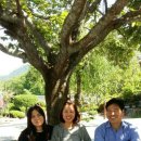 선암한옥펜션 이미지