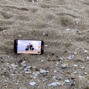 STAY 노을담 네이버블로그