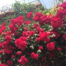 신애보육원 이미지