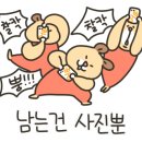 라보네르나나 이미지