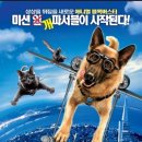 우정앤독스