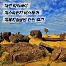 금광지질 | 대만 타이베이 예스폭진지 버스투어 : 예류지질공원 간단 후기