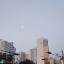 콩심 강제점 네이버블로그