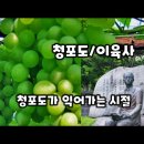 7월은 정보보호의 달 이미지