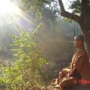 지금여기에 이미지