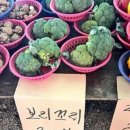 토리시키 네이버블로그