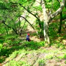 우식농장 이미지